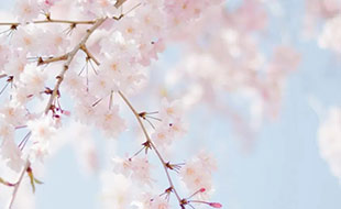 藏在二十四节气里的食与味 - 立春之花会